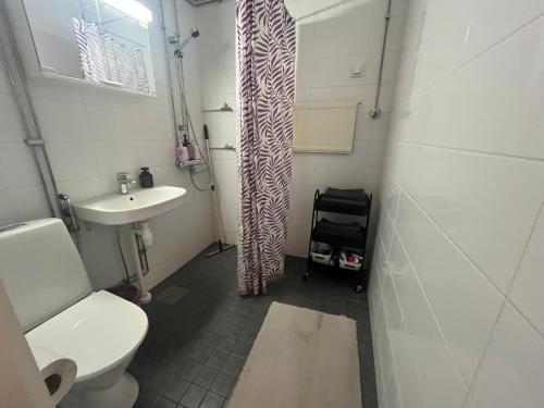 a bathroom with a toilet a sink and a shower curtain at Huoneisto kaupungissa Joensuu in Joensuu