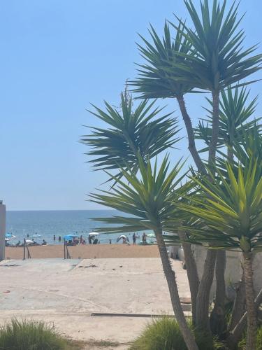 a couple of palm trees on a beach at Thalassa Apartment 1 in Marathias