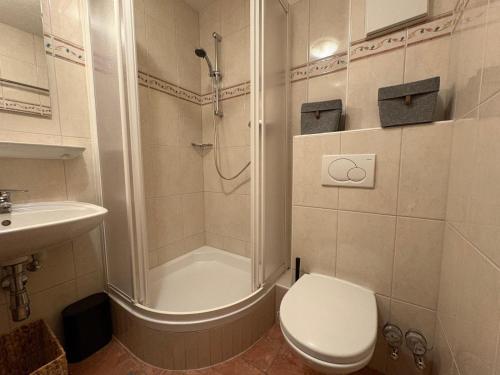 Ένα μπάνιο στο Alpen Studio Ellmau IV