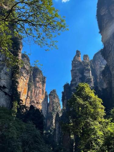 a mountain view of meteoria from the forest at Zhangjiajie Han Exotic Inn in Zhangjiajie