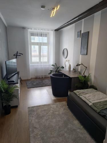 a living room with a bath tub and a television at Wohnung in Leoben Zentrum Zwischen Hauptplatz und Stadtpark in Leoben