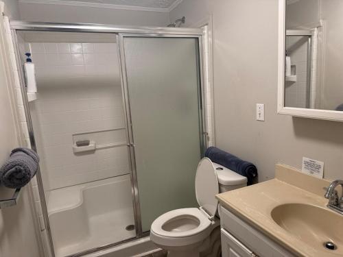 a bathroom with a shower and a toilet and a sink at Casa Minimal Cottage Pet Friendly with Fenced Yard in Raeford