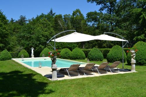 a group of chairs and an umbrella next to a pool at Château de Peufeilhoux in Vallon-en-Sully