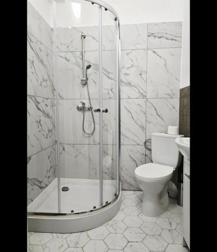 a bathroom with a shower and a toilet at Lipowa Guest House in Bielawa