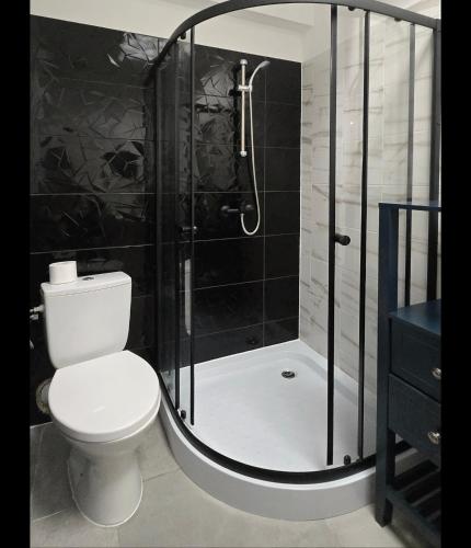 a bathroom with a shower with a toilet and a sink at Lipowa Guest House in Bielawa