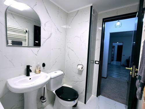 a bathroom with a sink and a toilet and a mirror at Comfort Apartment in Târgovişte