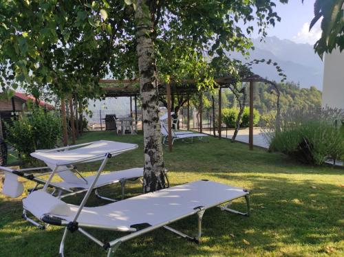 two picnic tables in the grass under a tree at The View 2 in Teglio