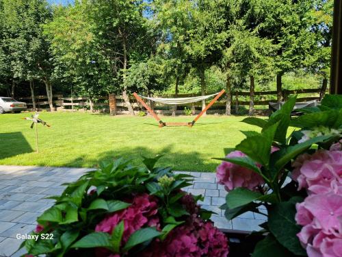 a hammock in a yard with a field of grass at Dom w Zaciszu Drzew Szkotowo in Szkotowo