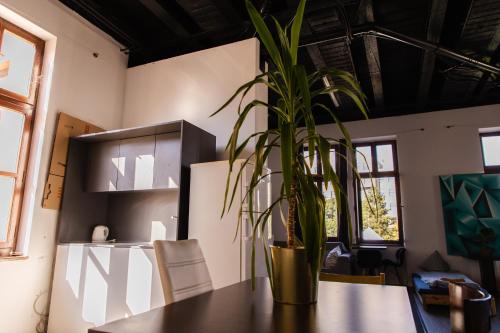 a potted plant sitting on a table in a room at Blue Lotus Apartments in Bratislava