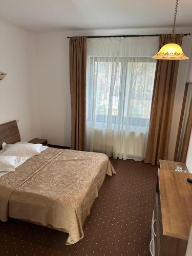 a hotel room with a bed and a window at Cabana Plapumioara in Crucea