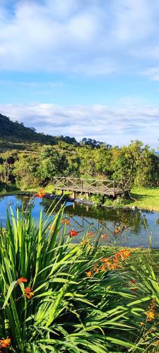 a wooden bridge over a body of water with flowers at El Color de Mis Rêves in Villamaría