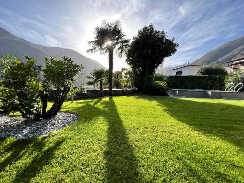 a shadow of a palm tree on a lawn at Casa Medusa - con piscina, a 2 minuti dalla stazione in Verscio