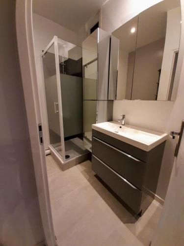 a bathroom with a sink and a mirror at Le Cocon in Meudon