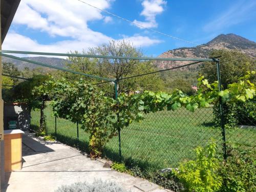 a fence with a view of a mountain at Casa La V G in Almese