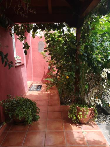 a patio with plants and a pink house at Villa La Victoria in Tegueste