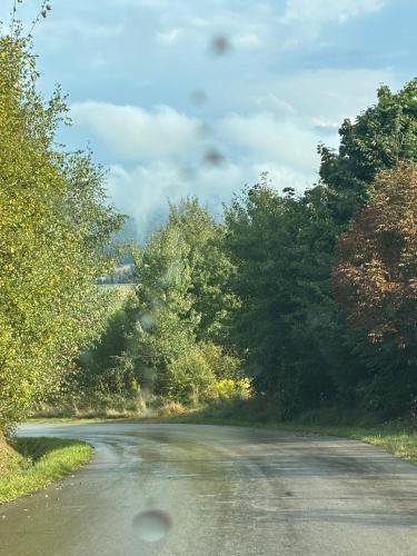 an empty road with trees on either side at Apartament u Dyncyka in Krajno Pierwsze