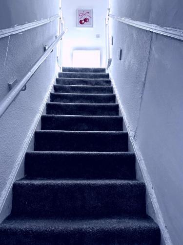 a staircase in a building with black steps at High class accommodation in Bury