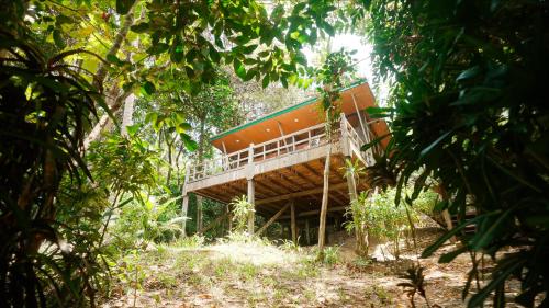 a tree house in the middle of a forest at Barefoot Luxury at the Tip of Borneo in Kudat