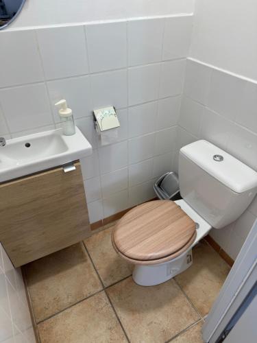 a bathroom with a toilet and a sink at Chez DOMI in LʼIsle-sur-la-Sorgue