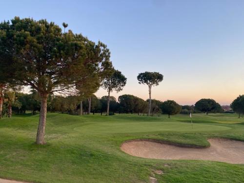 Cadiz Golf & Homework