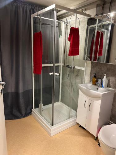 a bathroom with a shower and a sink at 2 Bedroom Apartment Tiller in Trondheim