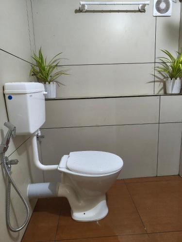 a white toilet in a bathroom with two plants at Paddy's Abode in Kappil
