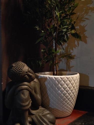 a plant sitting next to a statue next to a vase at Paddy's Abode in Kappil