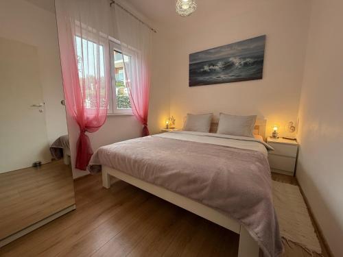 a bedroom with a large bed and a window at Apartment Gatti Grassi in Zaboric