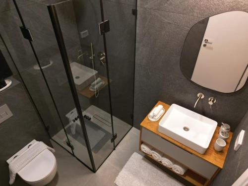 a bathroom with a shower and a toilet and a sink at Zomer חופשה בטבע in Beẕet