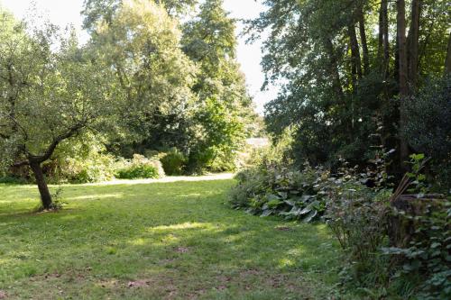 a garden with grass and trees and a path at idyllisches Ferienhaus Reitlesmühl für 8 Personen in der Rhön in Oberthulba