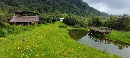 a river with a house and a field of flowers at El Color de Mis Rêves in Villamaría