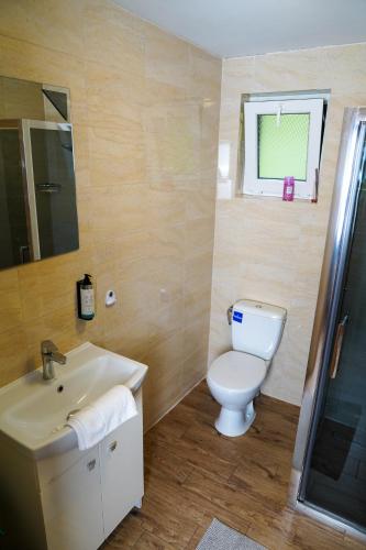 a bathroom with a white toilet and a sink at Leśny Zakątek in Bezmichowa Dolna
