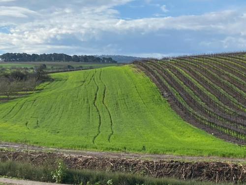 a field of green grass with a dirt road at מלון המושבה כפר תבור in Kefar Tavor