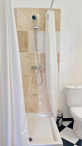 a bathroom with a shower with a toilet and a shower curtain at Hôtel de la paix in Limoges