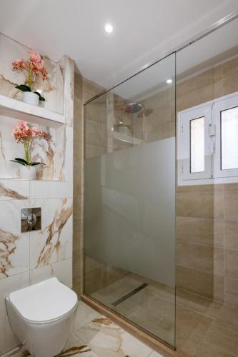 a bathroom with a toilet and a glass shower stall at Olas y olivos in Akrotiri