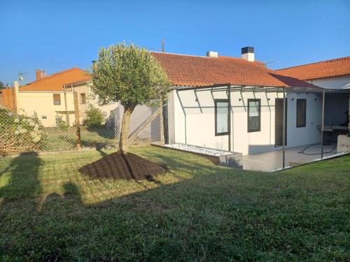 a tree in the yard of a house at Casa Gafura in Barro