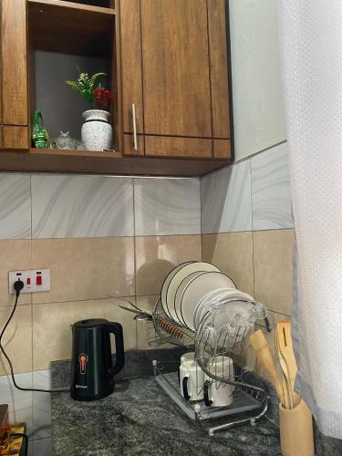 encimera de cocina con tendedero y vajilla en Luxury Stay Ug, en Namugongo