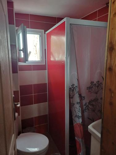a small bathroom with a toilet and a shower at Zlatiborska noć in Zlatibor