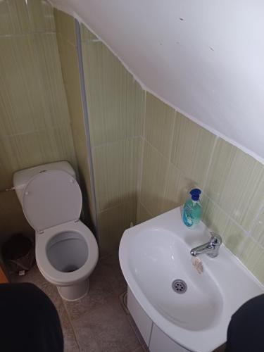 a small bathroom with a toilet and a sink at Zlatiborska noć in Zlatibor