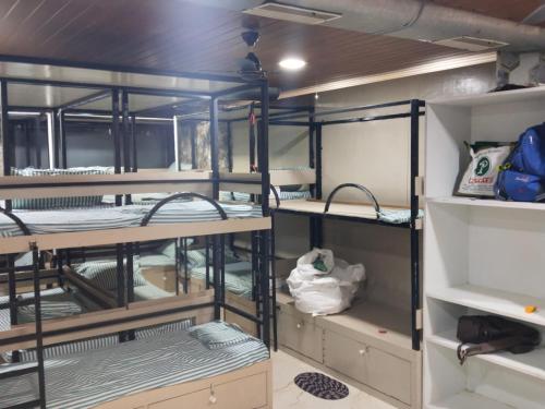 Palanda nebo palandy na pokoji v ubytování Vijay Cozy Corner Hostel