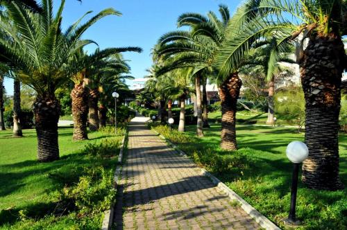 Κήπος έξω από το Starlight Resort Hotel