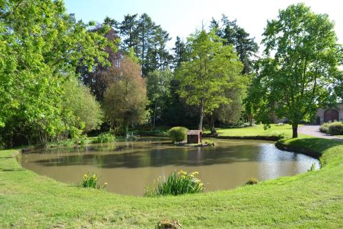 a pond in the middle of a park at Château de Peufeilhoux in Vallon-en-Sully