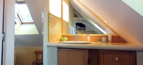 a bathroom with a sink with a mirror in a attic at Gîte 3 chambres dans Longère aux Rosiers-sur-Loire in Le Thoureil