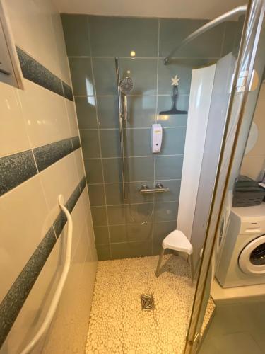 a bathroom with a shower and a toilet at Parc Baie des Anges in Villeneuve-Loubet