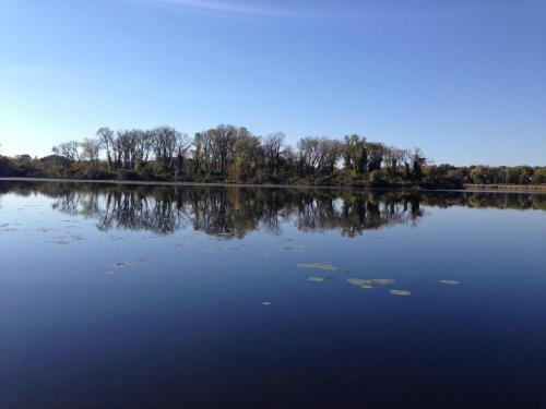 a large body of water with trees in the background at Secluded Lake Retreat - Private Beach, Pier & Fire Pit in Ingleside
