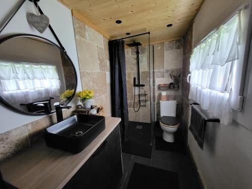 a bathroom with a sink and a toilet and a mirror at Maison Normande Charmante in Chamblac