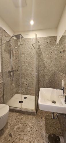 a bathroom with a shower and a toilet and a sink at EG-Apartment mit Terrasse in Görlitzer Innenstadtlage! in Görlitz