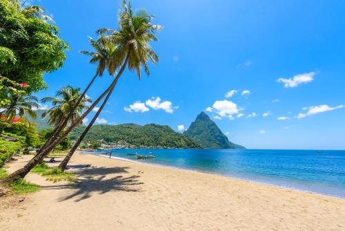 a beach with palm trees and the ocean at Apartment Soleil- Because Location really is everything! in Soufrière
