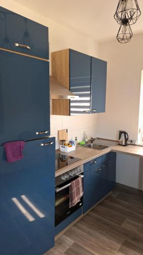 a kitchen with blue cabinets and a blue refrigerator at Pension Bernburg A2 in Bernburg