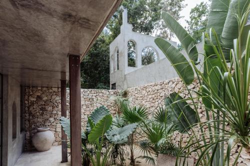 Κήπος έξω από το Onze Xpu Ha Sanctuary, Tulum